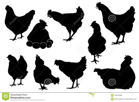 chicken silhouette or butcher diagram or part of hen butcher concept stock image