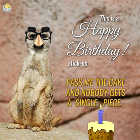 250 Funny Birthday Wishes That Will Surely Make Them Smile Funny