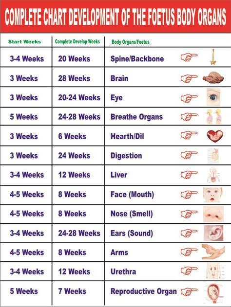 Maybe you would like to learn more about one of these? Pregnancy Chart - Maatriyoga
