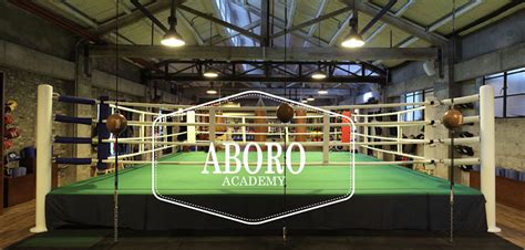 an interview with pioneer michele aboro part three awakening fighters