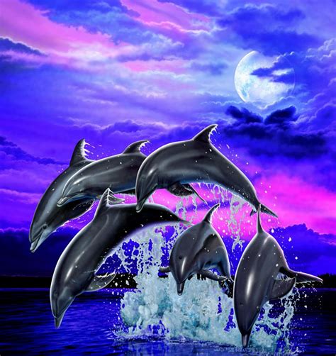 Moonlight Dolphins By Real Warner On Deviantart Dolfijn Kunst