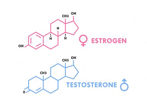 Premium Vector Estrogen And Testosterone Hormones Symbol Sex Hormones Molecular Formula Sex