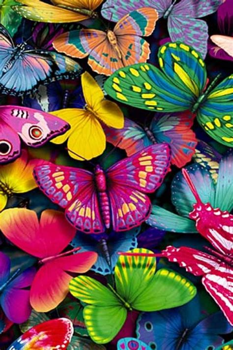 Colorful Butterfly Wallpaper Mobile Wallpapers