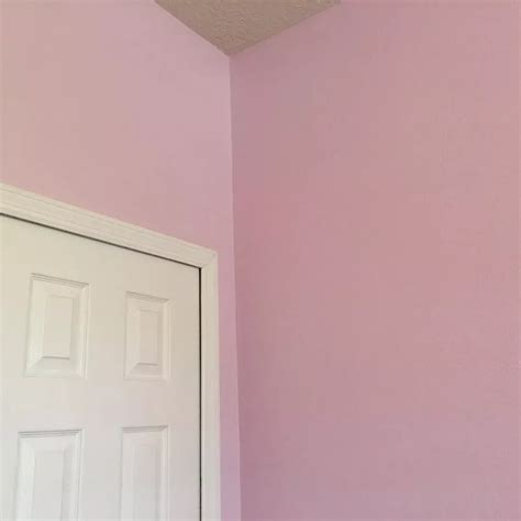 Sherwin Williams Joyful Lilac Sw 6972 Wall Paint Interior And Exterior