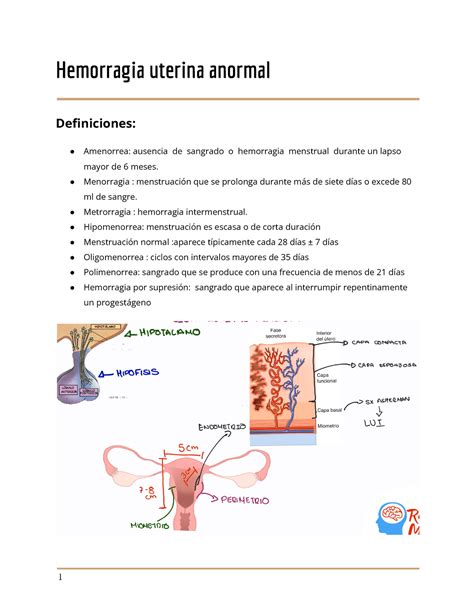Hemorragia Uterina Anormal Hemorragia Uterina Anormal Definiciones Amenorrea Ausencia De