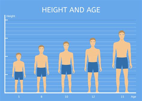 Human Heights Average Height Average Heights