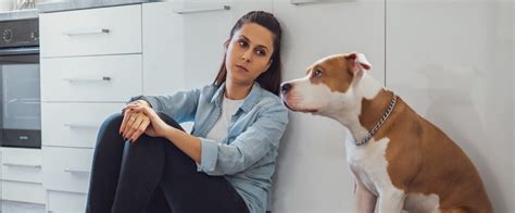 Canine Liability Insurance For Dog Related Injuries Dog Bite Insurance
