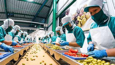 Top 10 Best Food Processing Companies In India In 2023 Inventiva