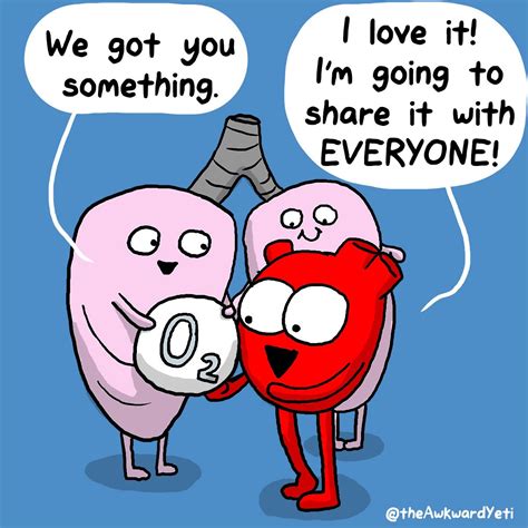 Cute Theawkwardyeti Biology Jokes Medical Jokes Chemistry Jokes