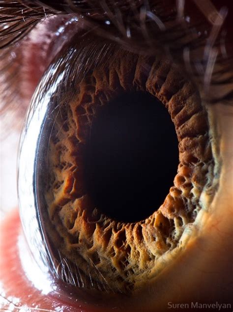 10 Macro Human Eye DesignCoral