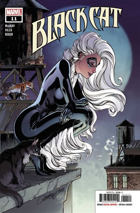 Who Is A Better Thief Catwoman Dc Comics Black Cat Marvel Comics