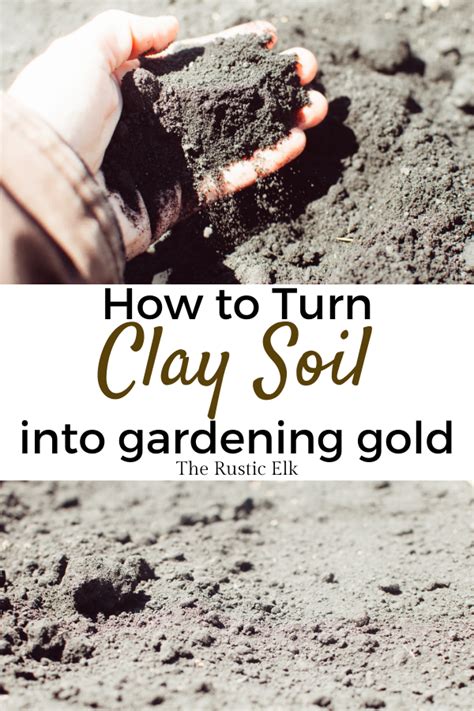 How To Turn Clay Soil Into Gardening Gold Planting Grass Garden Soil