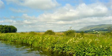 Of or relating to a lowland. Falkirk Marina, Scottish Lowland Canals