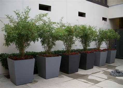 Check out our fiberglass flower pots selection for the very best in unique or custom, handmade pieces from our indoor planters shops. Why Fiberglass Planters are Best for Indoors and Outdoors?
