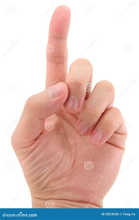 Index Finger Pointing Up Stock Photo Image Of Sign Gesture 2024256