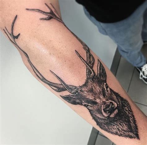 Stag Deer Antlers Black White Tattoo Black White Tattoos White
