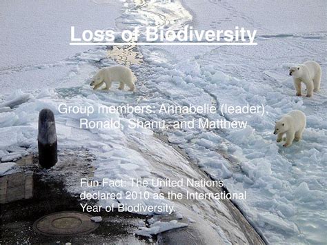 Ppt Loss Of Biodiversity Powerpoint Presentation Free Download Id