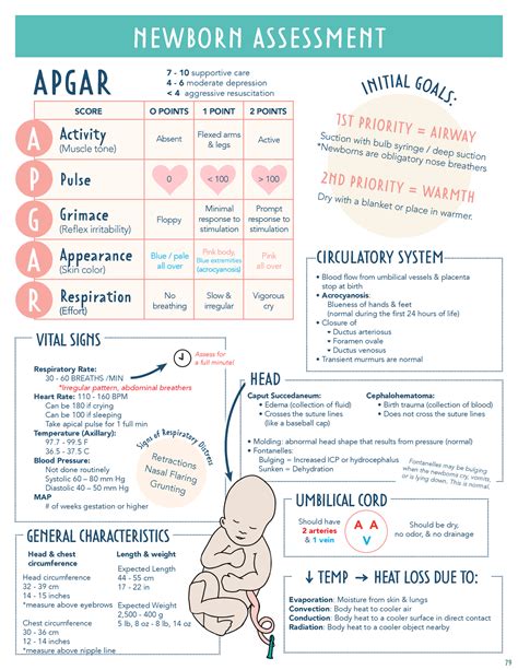 Newborn Assessment Newborn Assessment Apgar O Points Absent Floppy 0