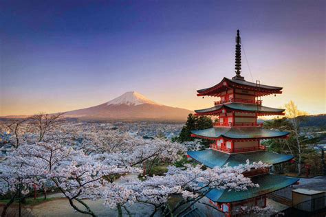 Family Holidays to Japan - Stubborn Mule Travel - Family Specialists