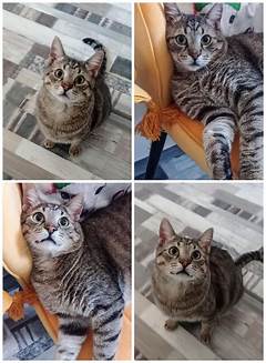 Joyology On The Go Experience Joy Anytime Anywhere With These Joy Boosting Hacks