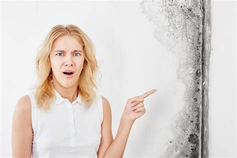 What does mold smell like. How To Get Rid of Mold Smell in Your Basement | Mold ...