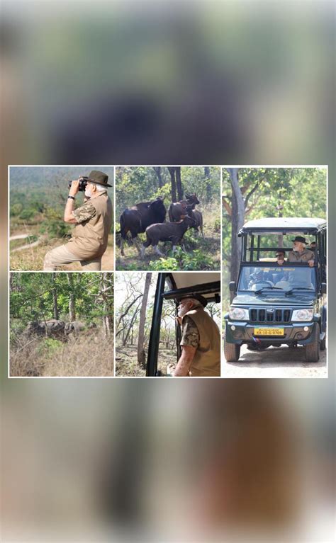 Pm Modi Shares Pics From His Safari In Bandipur Tiger Reserve National News Inshorts