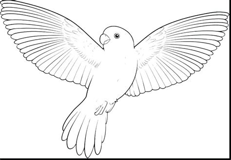 Download Flying Bird Coloring Pages at GetDrawings | Free download