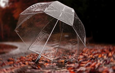 Wallpaper Autumn Rain Umbrella Images For Desktop Section природа