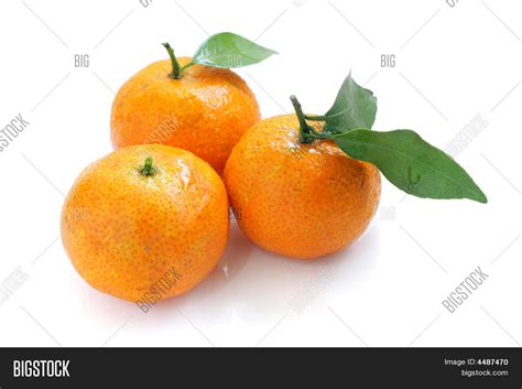Mandarin Oranges Image And Photo Free Trial Bigstock