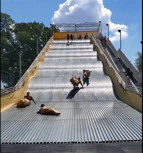 Giant Slide Shut Down Hours After Opening Due To Airborne Riders