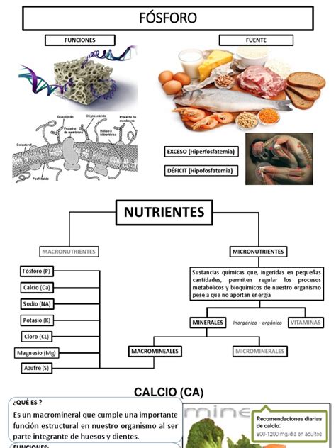 Macrominerales Potasio Dieta Y Nutrición