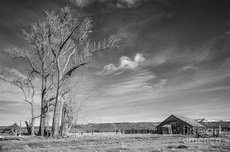 Old Barn Black And White Photograph By Dianne Phelps Fine Art America