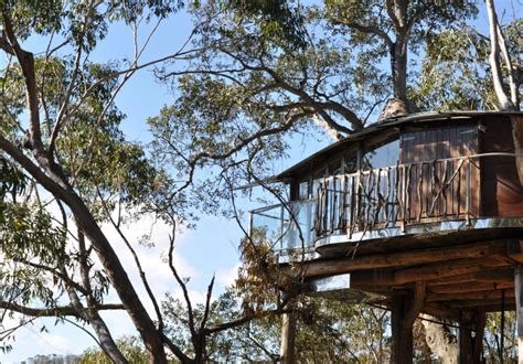 The Treehouse Bilpin Love Cabins Travel Guide Blue Mountains