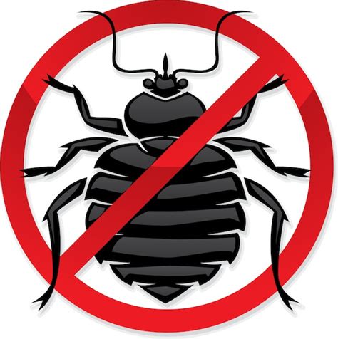 How To Treat Your Box Spring For Bed Bugs Poulins Pest Control