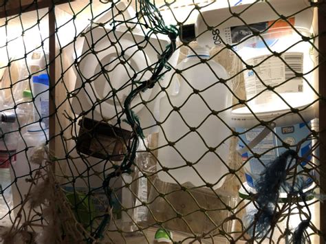 Escape Room Mandeville