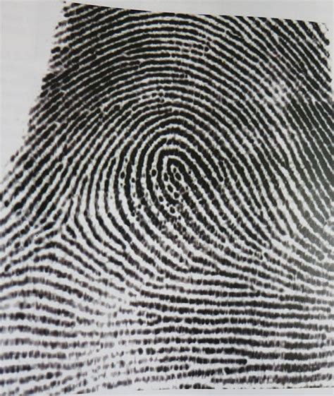 Fingerprints Kerrians Notebook