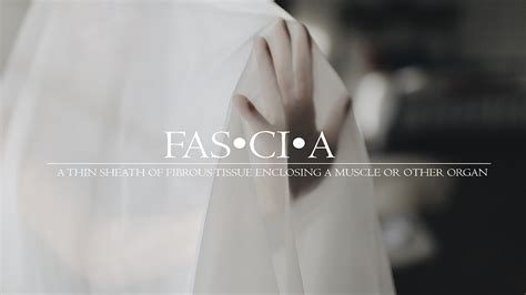 Facts About Fascia 3b Yoga Provo Yoga — 3b Yoga