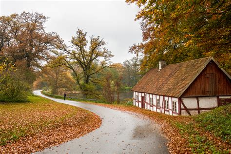 Wallpaper Autumn Trees Fall Landscape Skane Sweden Tr Er