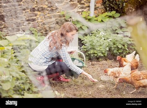 Woman Holding Chicken Stockfotos Und Bilder Kaufen Alamy