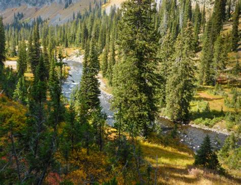 Hike Bechler River Trail In Yellowstone National Park 57hours