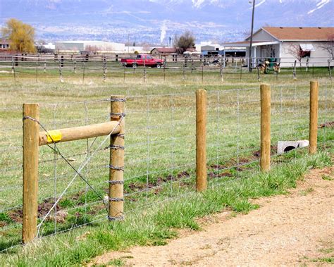 They are used to keep people (and animals) both in and out of certain areas. Singleton Fence : Barbed Wire Fence