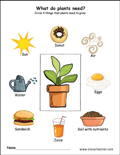 Sure, you can go into the kitchen and make a sandwich. What Do Plants Need To Grow Worksheet Grade 5 - worksheet