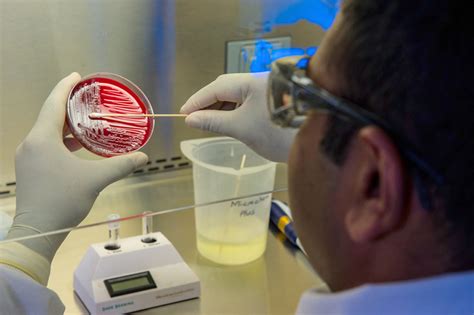 Microbiology Testing - BioBridge Global