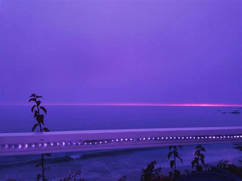 We did not find results for: Purple Aesthetic | Purple aesthetic, Aesthetic pictures ...