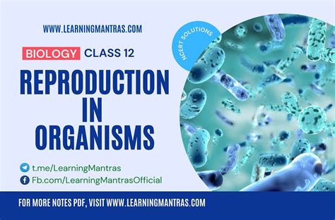 Ncert Solutions For Reproduction In Organisms Biology Class 12
