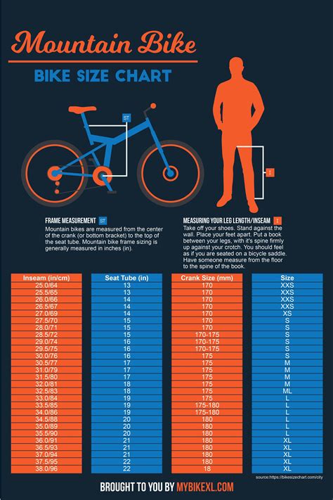 Trek Bike Size Chart Cm