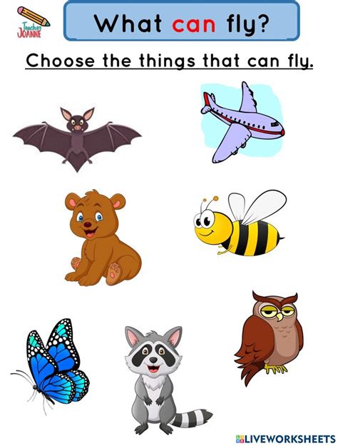 What Can Fly Worksheet Kindergarten Age Kindergarten Worksheets