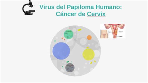 Virus Del Papiloma Humano Cáncer De Cervix By Maria Belen Suarez Saravia
