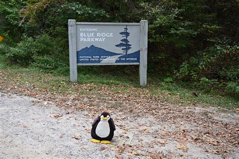 Blue Ridge Parkway - Wo ist der Pinguin?