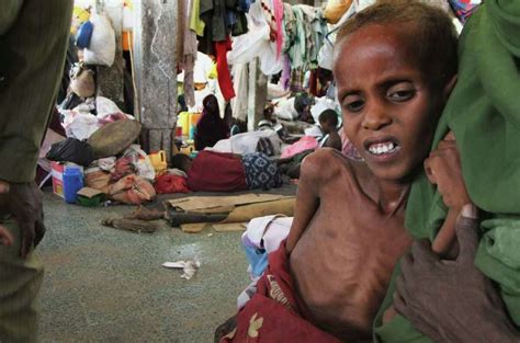 Ap Somalia Famine Aid Stolen Un Investigating